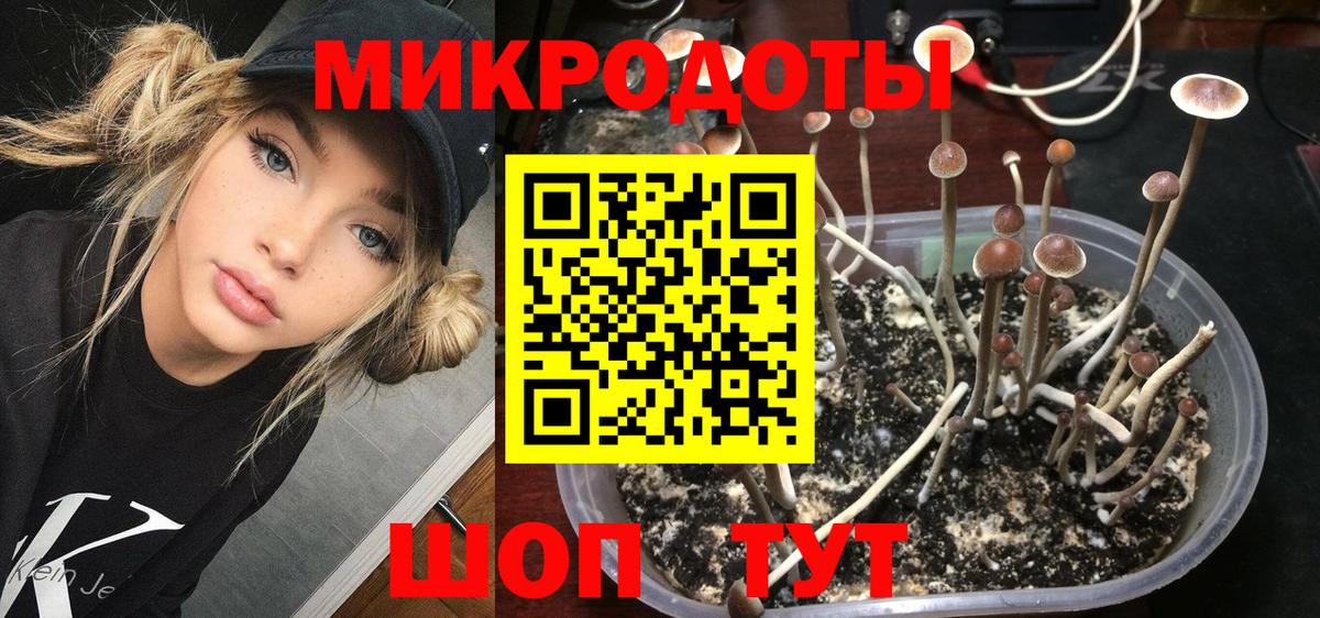 Галлюциногенные грибы мицелий  хочу   Краснодар  Вход с VPN 